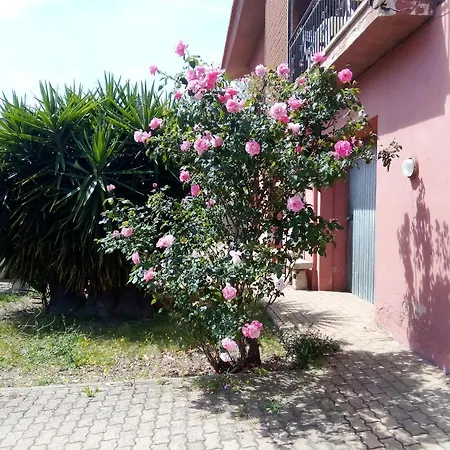 Séjour chez l'habitant La Vecchia Mansarda *